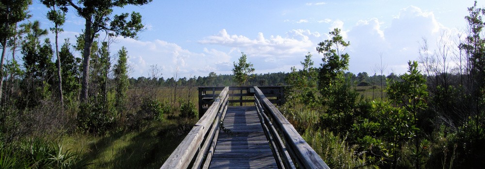 Boardwalk through a nature preserve in DeSoto County, FL